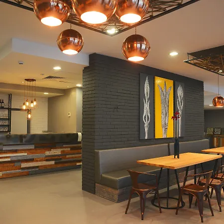 Gladiola Star Goldstrand