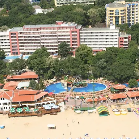 гладиола стар 4*