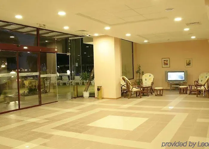 Gladiola Star Golden Sands